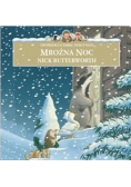 Mroźna noc