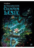 W tajemniczym ciemnym lesie