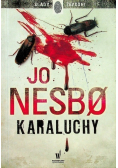 Karaluchy
