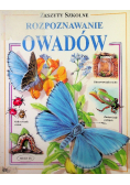Rozpoznawanie owadów