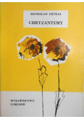 Chryzantemy