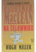 Na celowniku