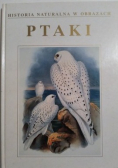 Historia naturalna w obrazach Ptaki