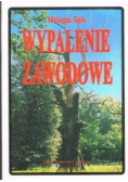 Wypalenie Zawodowe