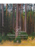 Przyroda lasów kujawsko pomorskich