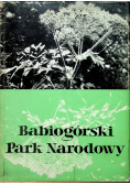 Babiogórski Park Narodowy