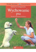 Wychowanie psa