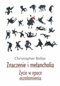 Znaczenie i melancholia Życie w epoce oszołomienia