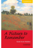 A Picture to Remember