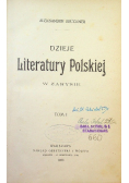 Dzieje literatury polskiej w zarysie Tom I 1903 r.