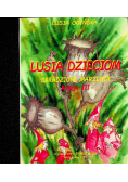 Lusia Dzieciom Miłosierdzie Baby Jagi Księga II