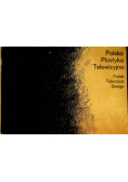 Polska plastyka telewizyjna