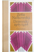 Dzienniki 1945 - 1954 Tom VI