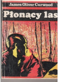 Płonący las