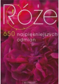 Róże 650 najpiękniejszych odmian