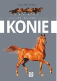 Konie  Atlas ras