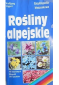Rośliny alpejskie