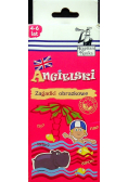 Kapitan Nauka Zagadki obrazkowe Angielski 4 6 lat
