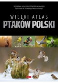 Wielki atlas ptaków Polski