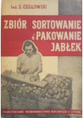 Zbiór sortowanie i pakowanie jabłek