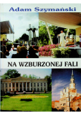 Na wzburzonej fali
