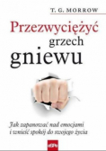 Przezwyciężyć grzech gniewu. Jak zapanować nad emocjami i wnieść spokój do swojego życia