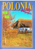 Polonia 300 fotografias