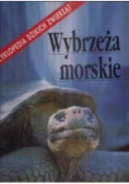 Wybrzeże morskie