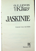 Jaskinie