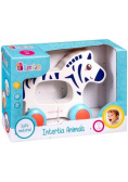 Zebra na kółkach BAM BAM
