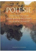 Polesie widziane oczami Marii Rodziewiczówny i jej współziomków