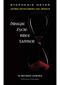 Drugie życie Bree Tanner