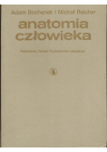 Anatomia człowieka Tom V