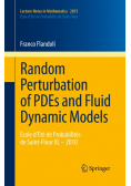 Random Perturbation of PDEs and Fluid Dynamic Models