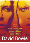 Pająk malezyjski, pająk szklany i pająk z Marsa