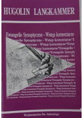 Ewangelie Synoptyczne Wstęp komentarz