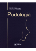 Podologia