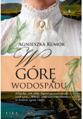 W górę wodospadu