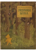 Przygoda misia