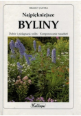 Najpiękniejsze byliny