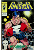 The punisher nr 5