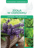 Zioła w ogródku