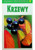 Krzewy