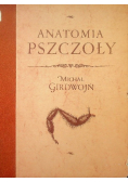 Anatomia Pszczoły