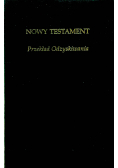 Nowy Testament Przekład odzyskiwania