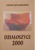 Działoszyce 2000