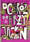 Podróż do przyjaźni