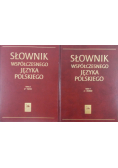 Słownik współczesnego języka polskiego Tom I i II