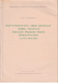 Pozytywistyczny obóz młodych wobec tradycji wielkiej polskiej poezji romantycznej