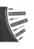 Nadgodziny zagryzione kimchi